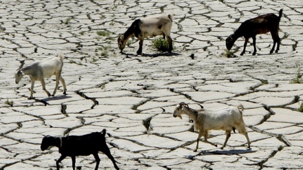 Onu: cambiamento climatico favorisce povertà