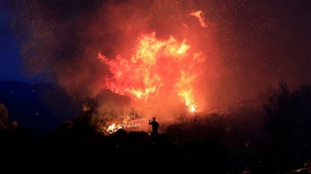 Firefighters battle tough blaze on Greek island of Evia