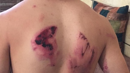 Begini Kehidupan Sehari-hari di Desa Issawiya