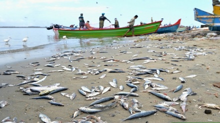 Real danger in Persian Gulf lies not on the water but below it