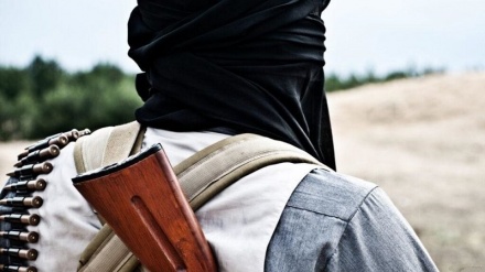 دستگیری یک سرکرده گروه طالبان به همراه دو محافظش در شمال افغانستان 