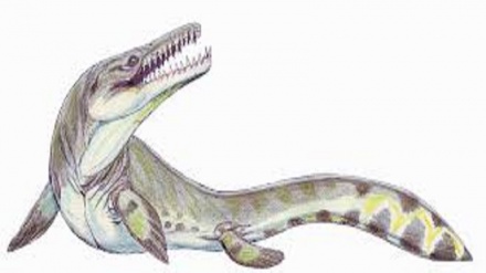 Cercavano pietre preziose ma trovano le ossa di un mostro marino di 70 milioni di anni