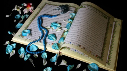 828-ə hissə-Saffati surə-114-122 şərifə ayəon