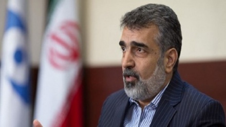 کمالوندی: در حال حاضر سطح غنی‌سازی ایران 4.5 درصد است