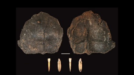 Scoperti i resti umani più antichi del Nord Italia