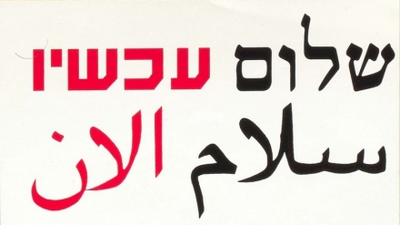 פעילי שלום עכשיו הציבו שלטים במאחזים לא חוקיים בגדה המערבית