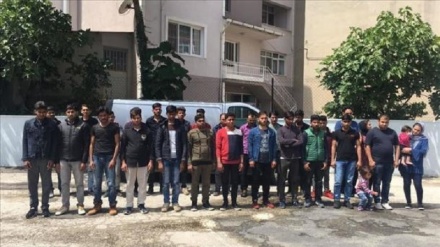 Çanakkale'de 48 kaçak göçmen yakalandı