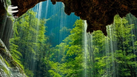 Menelusuri Hutan Hyrcania 