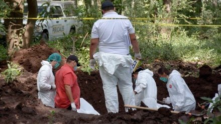 Hallan 1500 cuerpos en fosas comunes en solo 5 años en México