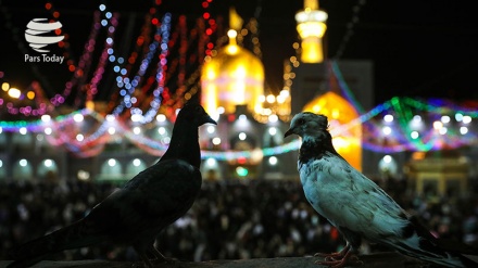 Fotos: Mashad en la noche del aniversario del nacimiento del Imam Reza (P)