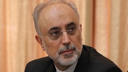 Salehi: Pronto será puesta en marcha la 2 Planta nuclear de Bushehr 