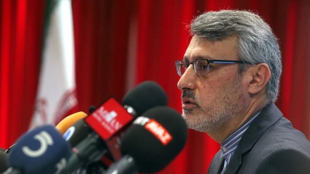 Baeidinejad: TV Saudi Perlihatkan Kebodohannya 