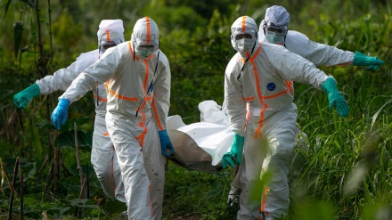 Viktimat nga virusi Ebola në lindje të Kongosë