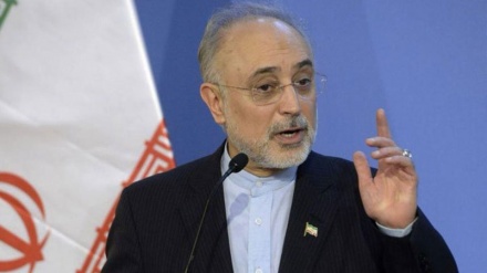 イラン原子力庁長官、「ブーシェフル原発２号機の建設が近く開始」
