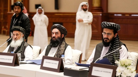 بی تاثیر بودن مذاکرات طالبان و آمریکا در توقف جنگ در افغانستان