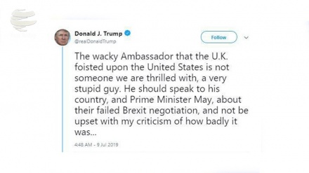 特朗普侮辱英国高级官员