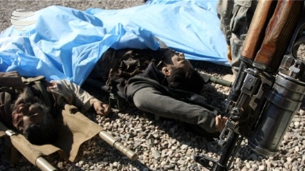 کشته و زخمی شدن حدود 80 عضو طالبان در ولایت پکتیا