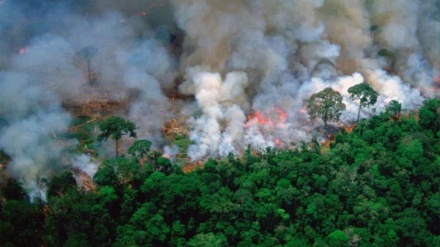 DesBolsonarizar la Amazonía desde los distintos territorios