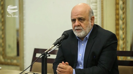 Unidad de comunidad islámica, motivo de fracaso de complots de EEUU e Israel