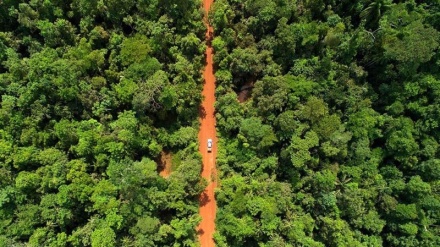 コロンビアが、アマゾン熱帯雨林の救済に向けた国際的な支援を要請