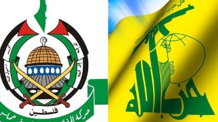 黎巴嫩真主党和哈马斯的代表：在伊朗的支持下抵抗运动取得了其胜利