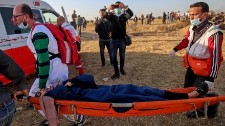 Nablus: Plagosen 5 palestinezë në përleshjet me forcat sioniste