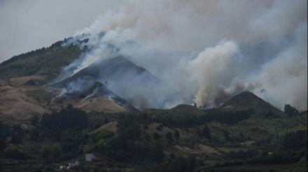 Spagna, incendio fuori controllo, 4.000 evacuati a Gran Canaria