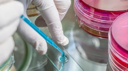 Fda approva un farmaco per la Tbc resistente, funziona nel 90% casi
