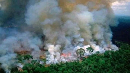 La Amazonía devorada por el saqueo capitalista
