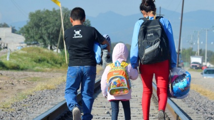 OIM: 514 migrantes han muerto en el continente americano en 2019