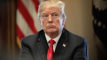 Trump: Wenn nötig, werden wir WTO verlassen