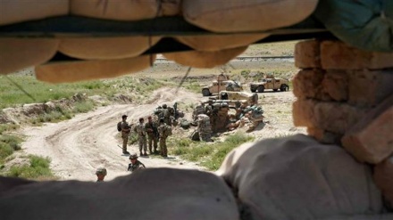 Afghan Taliban kill 14 pro-government militia members