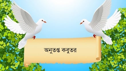রংধনু আসর: অনুতপ্ত কবুতর
