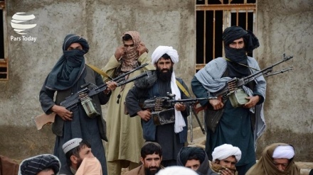 کشته شدن هشت عضو طالبان در شرق افغانستان 