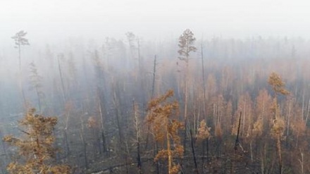Emergenza climatica per incendi Siberia