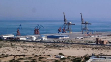 中国否认在巴基斯坦瓜达尔建立军事基地