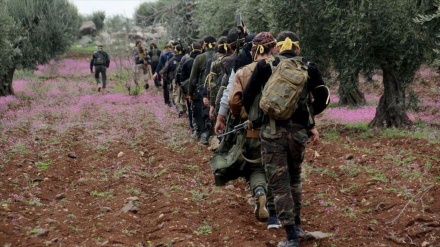 Terroristas abandonan zonas estratégicas del noroeste de Siria