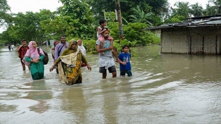 تلفات و خسارات سیل در هند و پاکستان