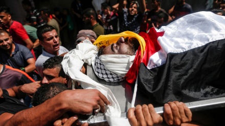 Martirizohen 3 palestinezë në Gaza