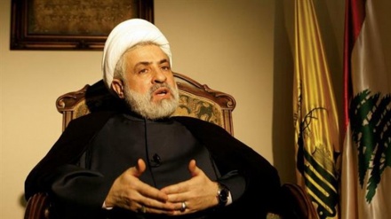 纳因姆·戛瑟姆：黎巴嫩将对犹太复国主义政权的侵略做出回应