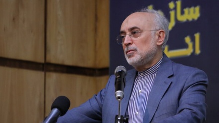 Salehi: Aktivitas Nuklir Iran akan Berlanjut