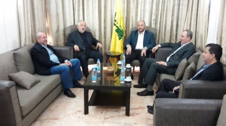 哈马斯运动代表团会见黎巴嫩真主党官员