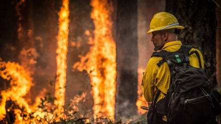Clima, nel 2019 incendi triplicati in Italia: più di uno al giorno