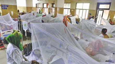 বাংলাদেশে ডেঙ্গুতে আরও ৪ জনের মৃত্যু: হাসপাতালে ভর্তি ১৬১৫ জন 