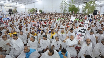 Baraah di Arafah (1)