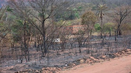 Incendio forestal en Bolivia se acerca a frontera con Paraguay