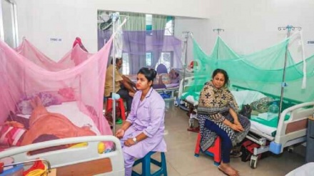 দেশে ডেঙ্গু জ্বরে আক্রান্তের সংখ্যা বাড়ছে: ২ জনের মৃত্যু
