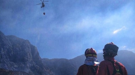 El incendio en Gran Canaria sigue 