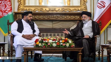 رئیس قوه قضاییه ایران در دیدار با رئیس مجلس سنای افغانستان؛ آماده استرداد محکومان افغانستان هستیم