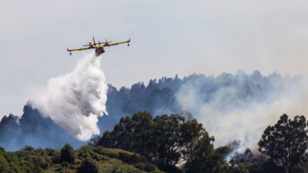 El incendio de Gran Canaria alcanza las 10.000 hectáreas